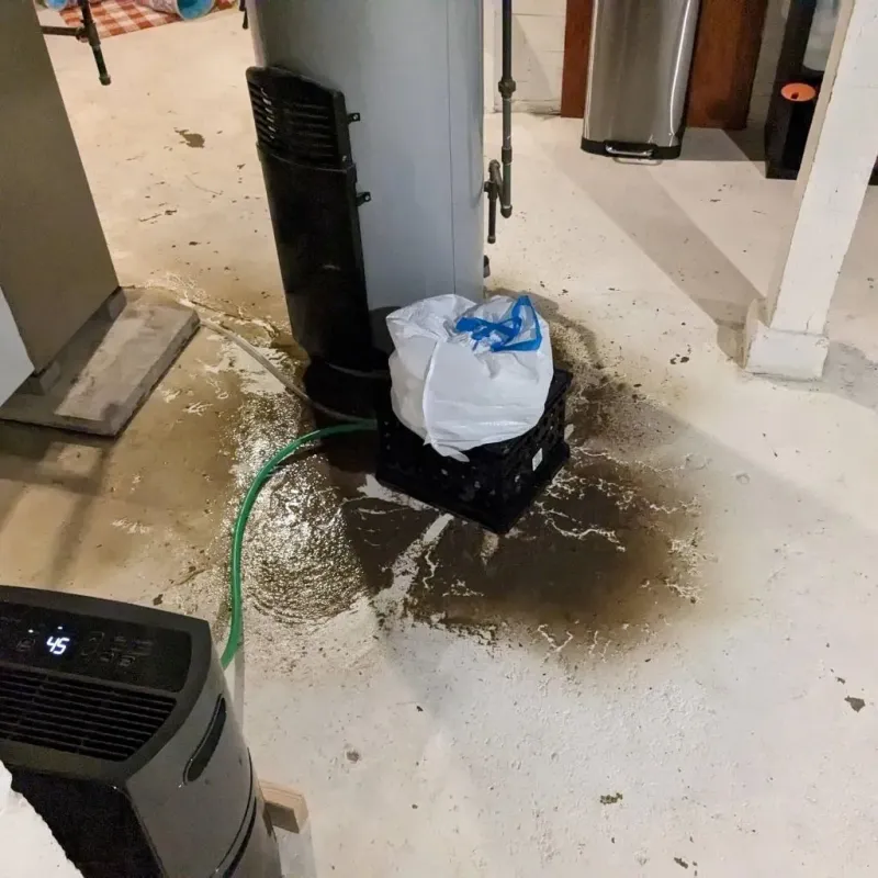Sewage Backup Cleanup Service in Redwood Valley, CA